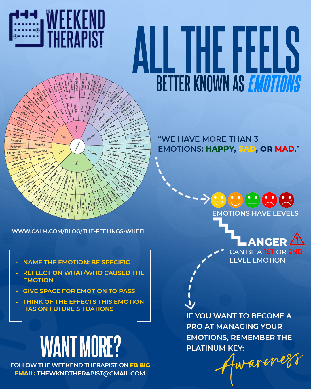 All the Feels emotional awareness infographic